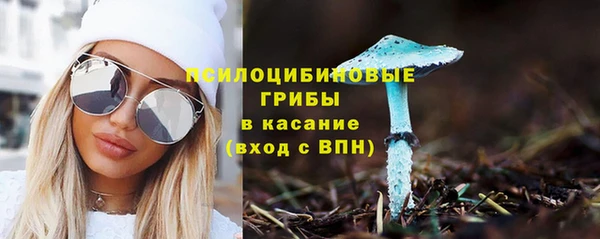 гашик Верхний Тагил