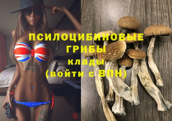 гашик Верхний Тагил