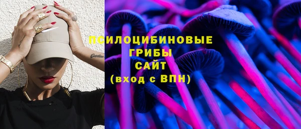 гашик Верхний Тагил